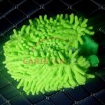 Car Cleaning Microfiber Wash Mitt Glove Premium 1 Car Cleaning Microfiber Wash Mitt Glove Premium 1