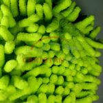 Car Cleaning Microfiber Wash Mitt Glove Premium 2 Car Cleaning Microfiber Wash Mitt Glove Premium 2